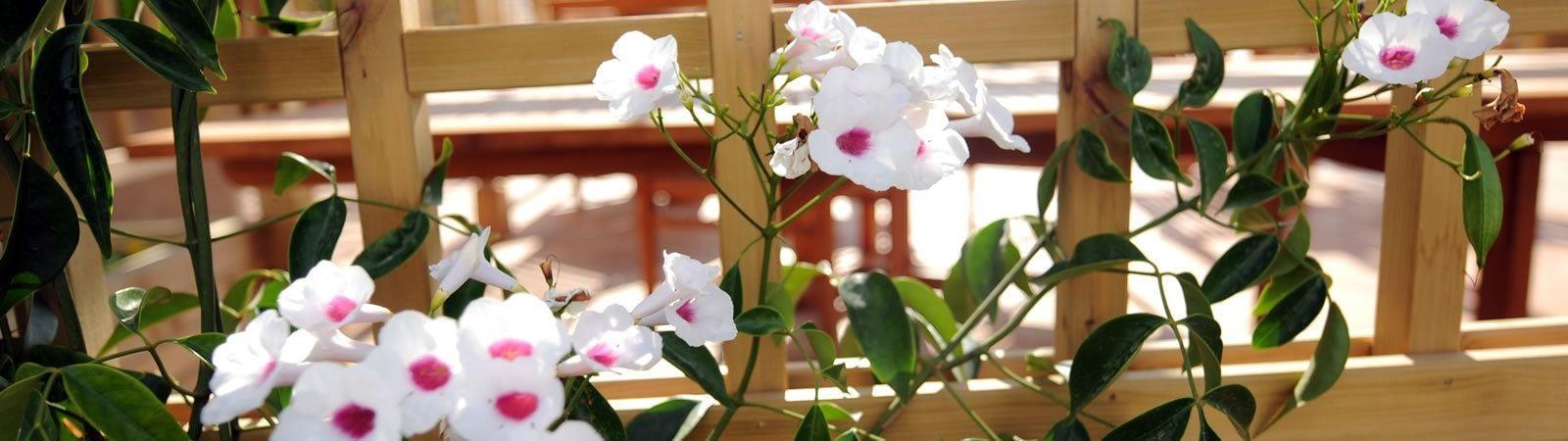 Son Granot Hotel إس كاستيل المظهر الخارجي الصورة